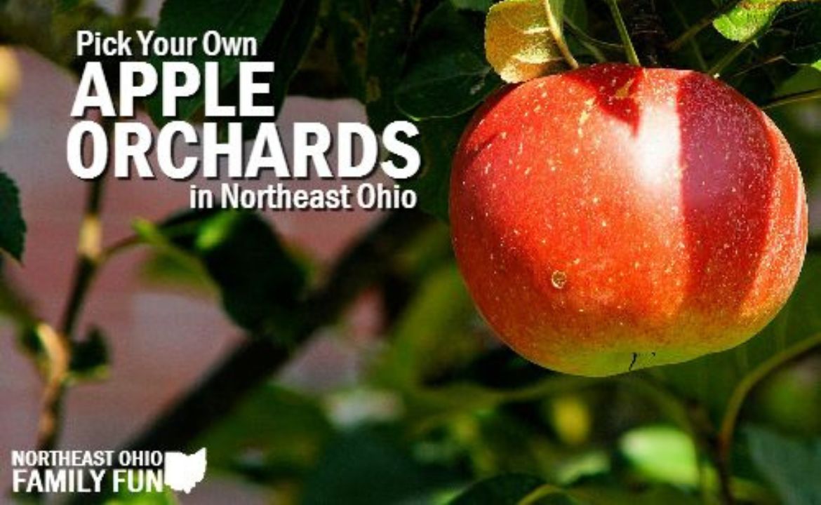 Cleveland Apple Picking: Orchards and Farms Guide