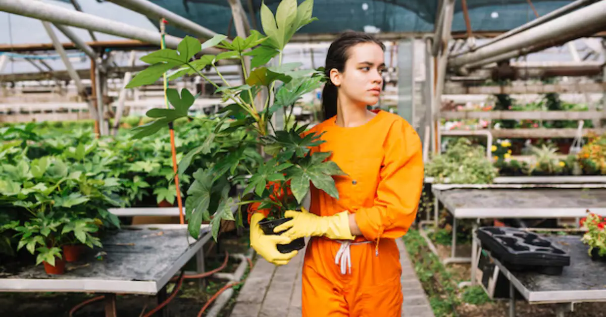 Tyson Closing Plants: What It Means for Workers